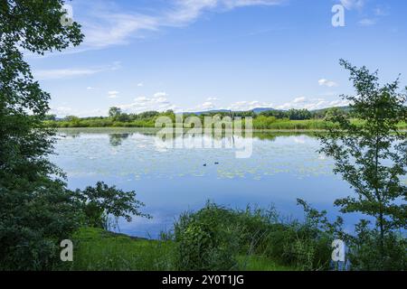 Paysage de la rivière Danubia avec reflet du paysage et des nuages, Haut Palatinat, Bavière, Allemagne, Europe Banque D'Images