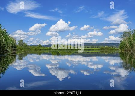 Paysage de la rivière Danubia avec reflet du paysage et des nuages, Haut Palatinat, Bavière, Allemagne, Europe Banque D'Images