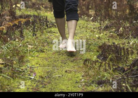 Gros plan sur les pieds et les jambes marchant pieds nus sur un sentier forestier obtenant les avantages de la mise à la terre également appelée mise à la terre Banque D'Images