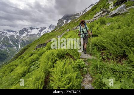 Alpiniste sur un sentier de randonnée sur une pente de montagne verdoyante, sommets nuageux dans le Stillupptal, Alpes du Zillertal, Tyrol, Autriche, Europe Banque D'Images