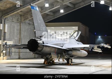 Les aviateurs affectés à la 148th Fighter Wing de la Garde nationale aérienne du Minnesota préparent un F-16 Fighting Falcon pour le vol de nuit lors de son déploiement à la base aérienne de Kadena, au Japon, le 20 août 2024. Le 148e se déroule à Kadena dans le cadre d’un déploiement rotatif démontrant l’engagement des États-Unis dans la région Indo-Pacifique. (Photo de la Garde nationale aérienne américaine par Airman 1re classe Addie Peterson) Banque D'Images