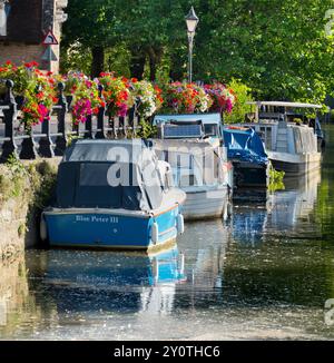 Paniers floraux de mi-été au quai St Helens près de la Tamise, Abingdon. Saint Helen's Wharf est un lieu de beauté remarquable sur la Tamise, juste en amont de Banque D'Images