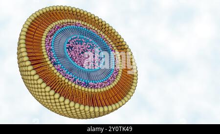 Le rendu 3d des liposomes dans les liposomes sont connus sous le nom de liposomes multivésiculaires ou liposomes emboîtés. Banque D'Images