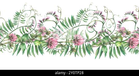 Branche de trèfle avec fleurs roses, feuilles et plante grimpante de pois de souris. Fleurs sauvages bordure sans couture, motif. Aquarelle illustration dessinée à la main. Prairie Banque D'Images