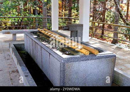 eau pour le nettoyage rituel à l'entrée d'un temple bouddhiste japonais Banque D'Images