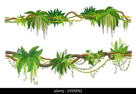 Branches de Liana ou vignes de lierre de la forêt tropicale de la jungle avec des feuilles de monstera, vecteur de bande dessinée. Plante rampante de forêt tropicale humide ou liane de jungle et arbre de liane avec vrilles grimpantes pour le cadre de frontière Illustration de Vecteur