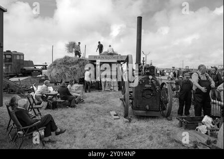 SAINT BURYAN ST BURYAN RALLYE VAPEUR ET TRACTEUR ET EXPOSITION DE VOITURES ANCIENNES, VÉLO ET CHIEN Banque D'Images