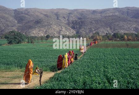 Peuple Rajasthani traditionnel dresst sur le chemin du retour après des funérailles traditionnelles dans la ville de Pushkar dans la province du Rajasthan en Inde. Inde, Banque D'Images