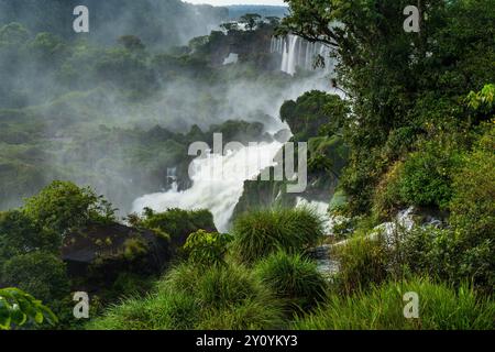 Parc national des chutes d'Iguazu en Argentine. Un site classé au patrimoine mondial de l'UNESCO. Sur la photo est San Martin dans le centre à travers la forêt tropicale humide, avec un Banque D'Images