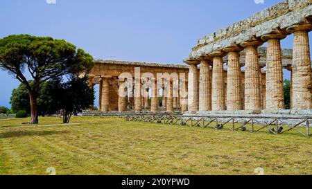 Images et photographies en couleur la magnificence des temples et des fouilles archéologiques de l'ancienne ville grecque de Paestum, Italie, Campanie, vente Banque D'Images