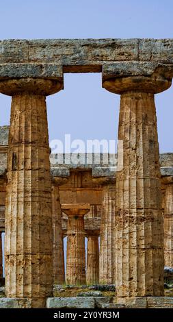 Images et photographies en couleur la magnificence des temples et des fouilles archéologiques de l'ancienne ville grecque de Paestum, Italie, Campanie, vente Banque D'Images