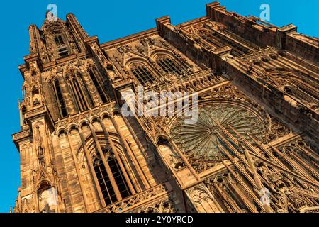 Cathédrale notre-Dame, Strasbourg, Alsace, France. Banque D'Images