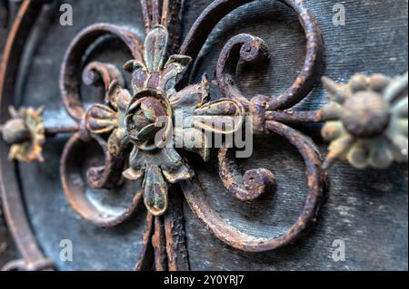 Porte en fer forgé ornée avec des motifs floraux complexes, debout sur un fond en bois altéré Banque D'Images