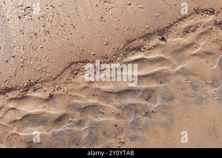 Ondulations de sable mouillées et pédalez sur la plage, vue de dessus. Texture abstraite de photo de fond naturel Banque D'Images