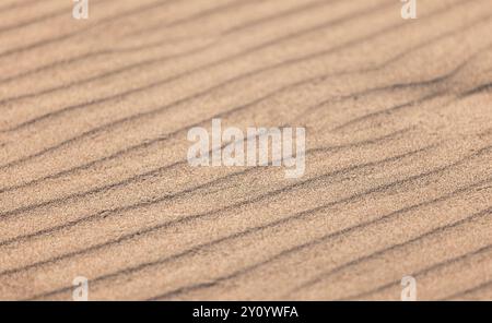 Motif de vagues de sable, photo de fond naturelle avec flou sélectif. Texture de dune abstraite Banque D'Images