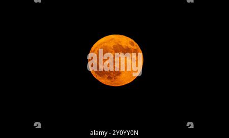 Gros plan époustouflant de la surface de la lune, présentant des cratères et des textures détaillées. Idéal pour l'astronomie, la science et les projets sur le thème de la nature. Parfait f Banque D'Images