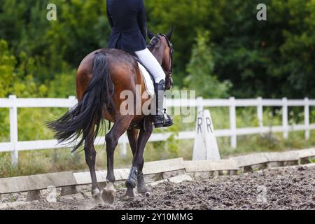 Cavalière en tenue formelle guide un cheval brun le long d'une arène équestre sablonneuse lors de son test de dressage Banque D'Images
