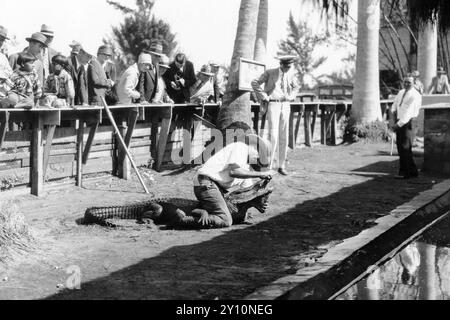 Alligator Joe lutte contre un alligator au Musa Isle Seminole Indian Village, une attraction touristique amérindienne de Miami, Floride, en 1930. (ÉTATS-UNIS) Banque D'Images