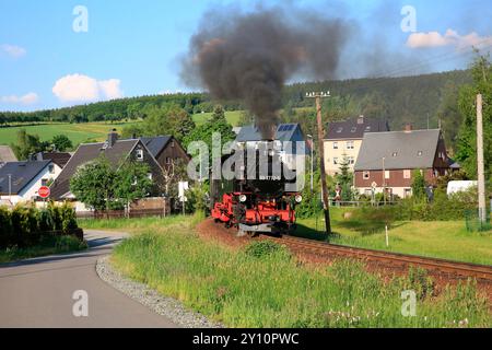 Train à vapeur sur la Fichtelbergbahn de Cranzahl à Oberwiesenthal Banque D'Images