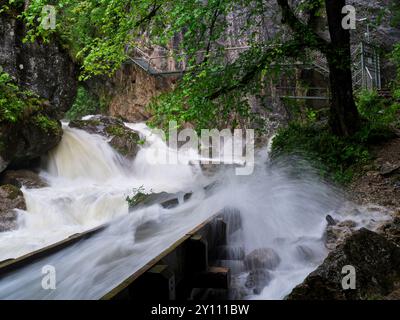 Crue à la sortie inférieure de la gorge de Pöllat près de Hohenschwangau Banque D'Images