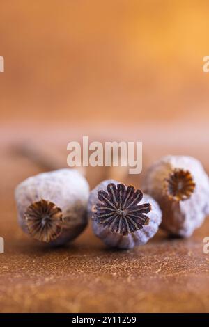 Capsules de pavot séchées, gros plan des capsules de fruits Banque D'Images