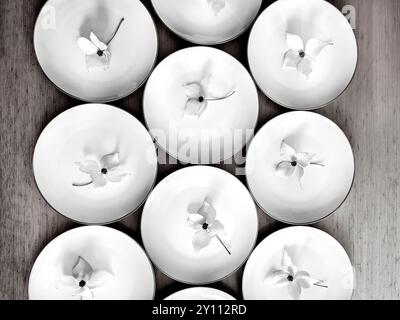 Des assiettes blanches à bords dorés se tiennent côte à côte sur une table en bois, décorées d'une fleur blanche sur la tige de la plante de cornouiller, des préparations de mariage et une décoration en noir et blanc Banque D'Images