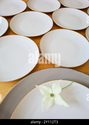 Les assiettes blanches sont disposées les unes à côté des autres avec des fleurs de cornouiller blanches au premier plan Banque D'Images