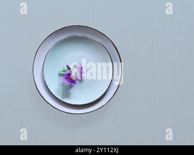 La fleur de cranesbill violette fleurie repose sur une plaque bleu clair sur un fond bleu clair, décoration de couleur pastel Banque D'Images