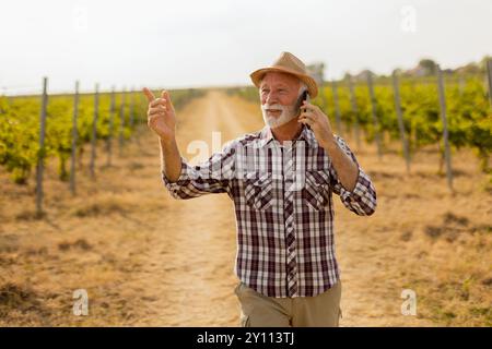 Un homme plus âgé portant un chapeau de paille sourit largement pendant qu'il parle sur son téléphone, se promenant le long d'un chemin de vignoble ensoleillé bordé de vignes Banque D'Images