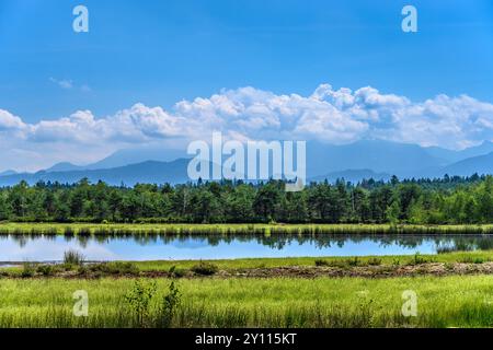 Allemagne, Bavière, Bad Feilnbach, Sterntaler Filze Moor Experience contre les Alpes de Chiemgau Banque D'Images