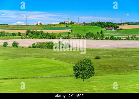 Allemagne, Bavière, district Ebersberg, Bruck, district Alxing, Moosachtal avec vue sur le village, vue depuis Nebelberg Banque D'Images