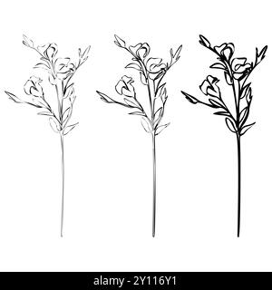 Ensemble de dessin au trait continu Lisianthus. Bouquets floraux noir et blanc. Page de coloration de fleurs. Ligne florale Illustration des lis fins. Main Illustration de Vecteur