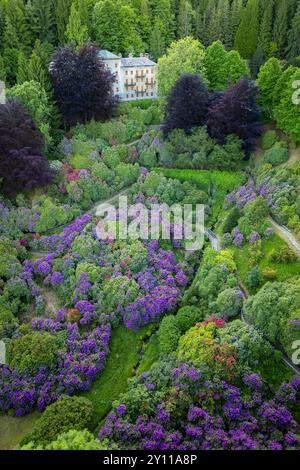 Vue aérienne de Conca dei Rododendri en pleine floraison dans la zone naturelle d'Oasi Zegna au printemps. Valdilana, Biella district, Piémont, Italie, Europe Banque D'Images