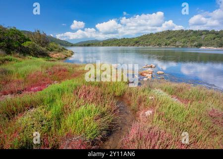 L'étang de Santa Giulia, un lagon côtier près de la plage, zone naturelle d'intérêt écologique, faunique et floristique. Porto Vecchio, Corse du Sud, Corse, France Banque D'Images