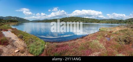 L'étang de Santa Giulia, un lagon côtier près de la plage, zone naturelle d'intérêt écologique, faunique et floristique. Porto Vecchio, Corse du Sud, Corse, France Banque D'Images