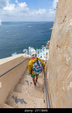 Escalier du roi d'Aragon / Bonifacio, Corse-du-Sud, Corse, France Banque D'Images