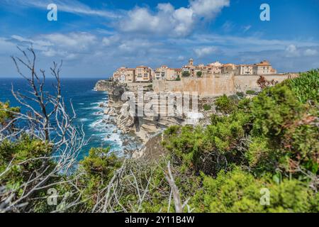 Bonifacio, Corse-du-Sud, Corse, France Banque D'Images