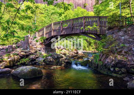 Eau, lac, Oker, rivière, pont, île d'engagement, vallée d'Oker, Oker, Harz, basse-Saxe, Allemagne, Europe Banque D'Images