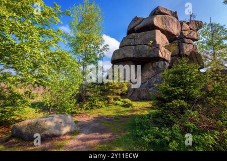 Sentier de randonnée, falaise, cuisine des sorcières, Oker, barrage d'Oker, vallée de l'Oker, Oker, Harz, basse-Saxe, Allemagne, Europe Banque D'Images