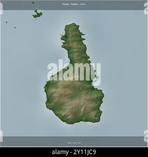 Pulau Tioman dans la mer de Chine méridionale, appartenant à la Malaisie, coupée en carré sur une carte d'altitude en couleur Banque D'Images