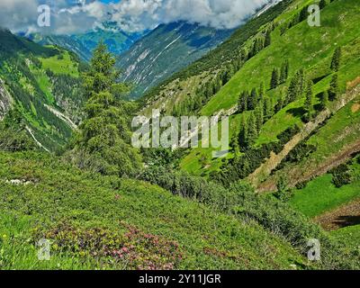 Montée de Madau à Memminger Hütte (2242m), Alpes de Lechtal, Tyrol, Autriche, sentier de randonnée longue distance E5, traversée alpine d'Oberstdorf à Meran Banque D'Images