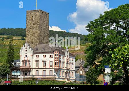 Allemagne, Hesse, Rheingau, Rhin, Boosenburg, Rüdesheim Banque D'Images