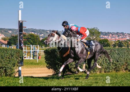 Royaume-Uni - 01 septembre 2019 : gros plan d'un couple de chevaux et jockeys cou et cou à la ligne d'arrivée dans une course sur un hippodrome en gazon (par Ivan Radic) Banque D'Images