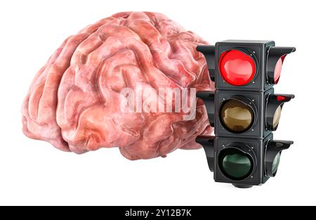 Cerveau humain et signal de circulation avec couleur rouge, rendu 3D isolé sur fond blanc Banque D'Images