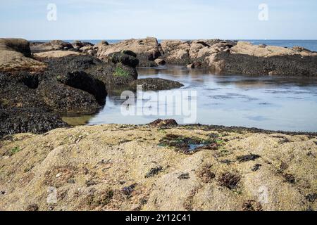 Plage le long de la côte de la Turballe en Bretagne en France Banque D'Images