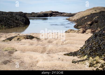 Plage le long de la côte de la Turballe en Bretagne en France Banque D'Images