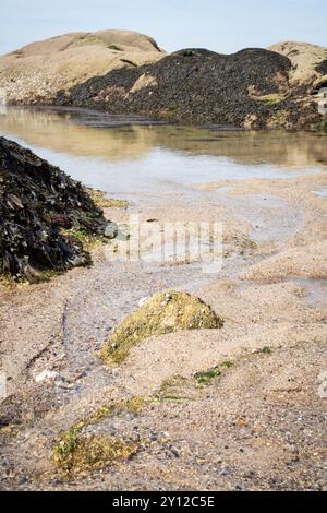Plage le long de la côte de la Turballe en Bretagne en France Banque D'Images