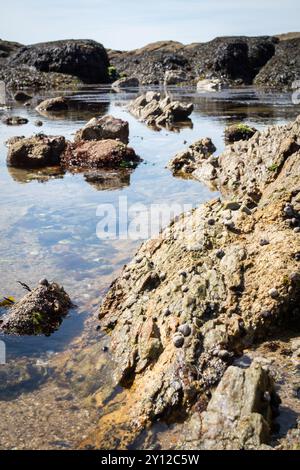 Plage le long de la côte de la Turballe en Bretagne en France Banque D'Images
