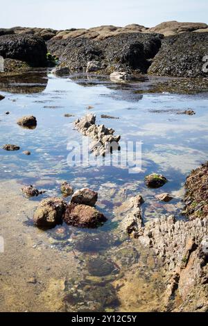 Plage le long de la côte de la Turballe en Bretagne en France Banque D'Images
