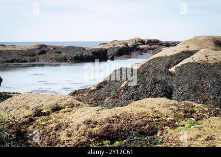 Plage le long de la côte de la Turballe en Bretagne en France Banque D'Images